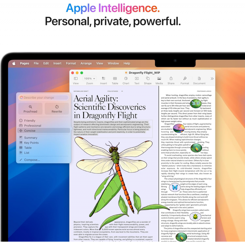 Apple MacBook Air 2025 (13" M4, 16 GB + 512 GB) - Argento Apple MacBook Air 2025 (13" M4, 16 GB + 512 GB) - Argento